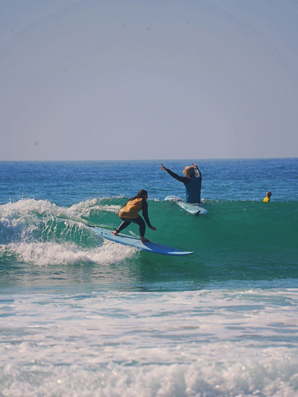 Surf Fitxp
